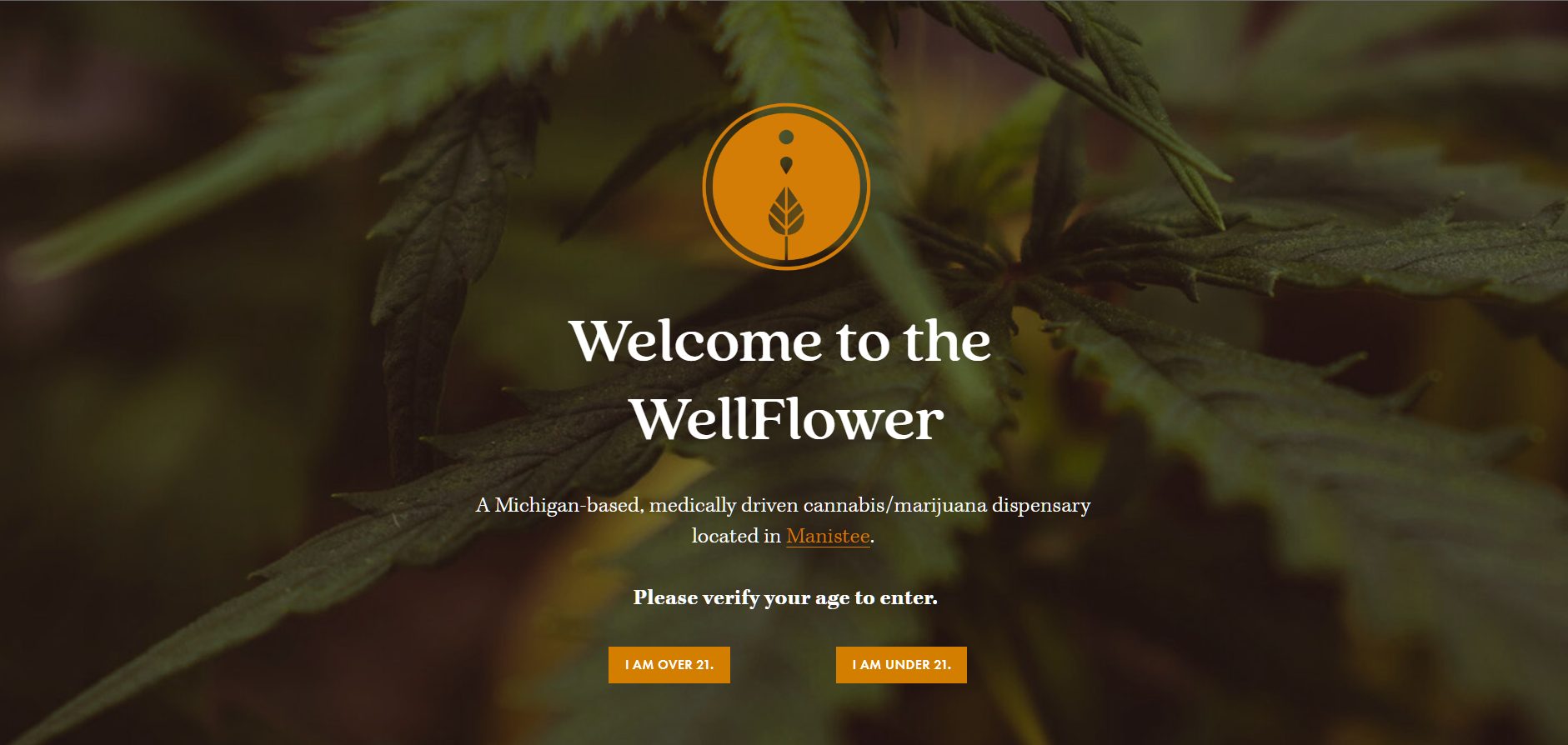 Website design, continued — menu and location pages built fo